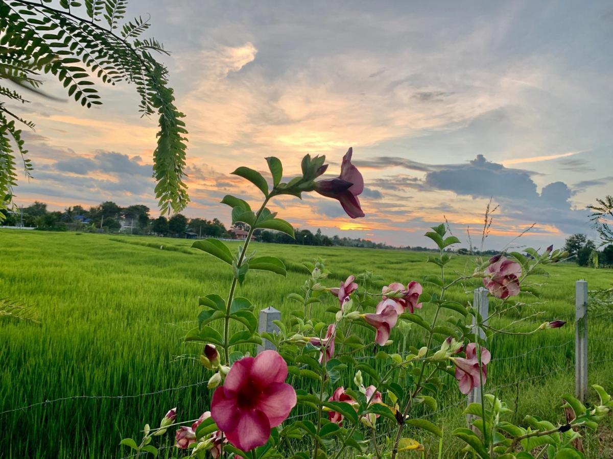 Rang Robin Farmstay With Swimming Pool Ban Wang Muang Exterior photo